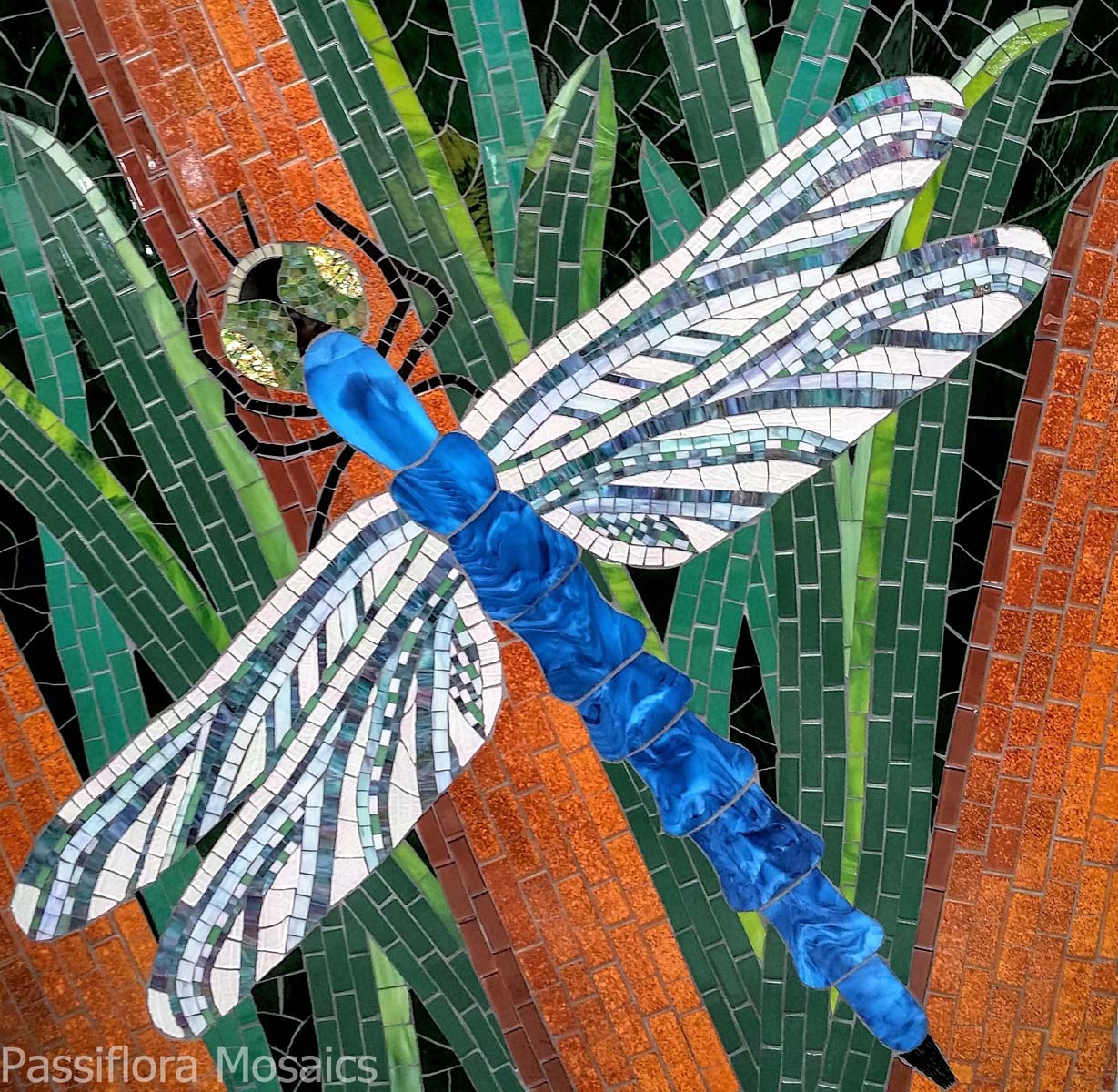 Blue Dasher - Lucile Packard Children's Hospital at Stanford in Palo Alto, CA